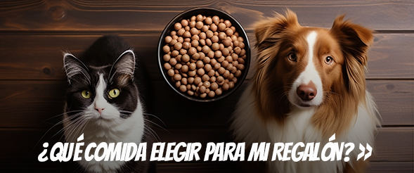 ¿Qué comida elegir para mi mascota?